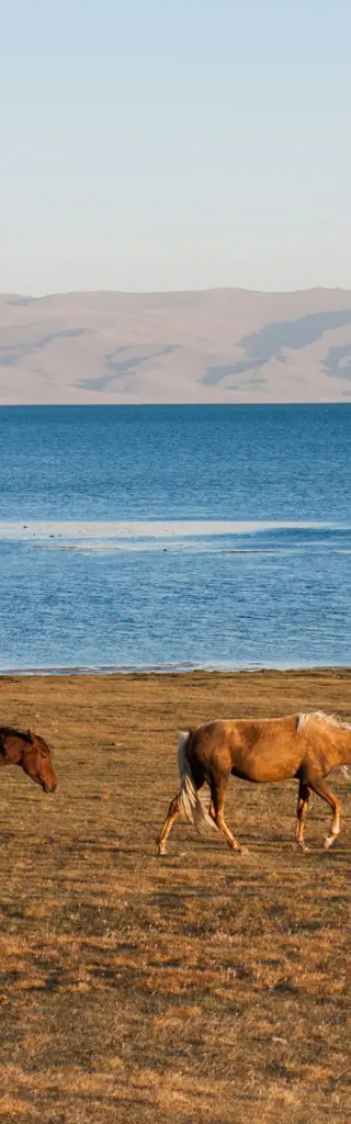 Kirgistan – Bike-Abenteuer im freundlichen Gebirgsland